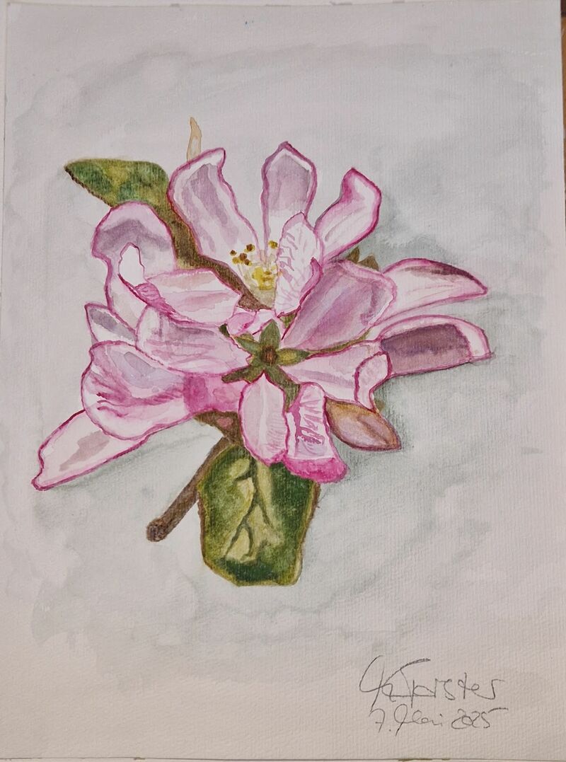 Open Up Spring Flower - a Paintings by The Future Medicine Woman